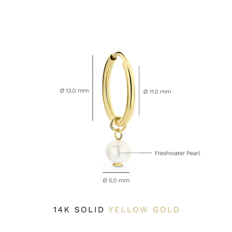 Brincos Delia Crest | Ouro